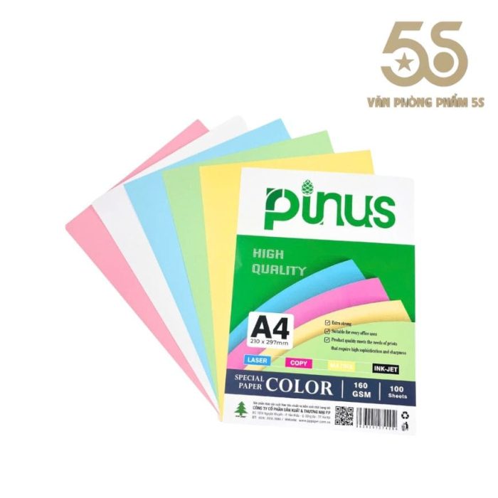 Bìa Màu A4 Pinus